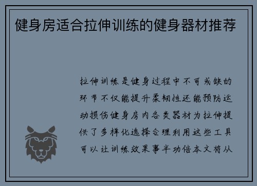 健身房适合拉伸训练的健身器材推荐