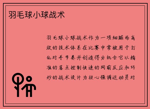 羽毛球小球战术
