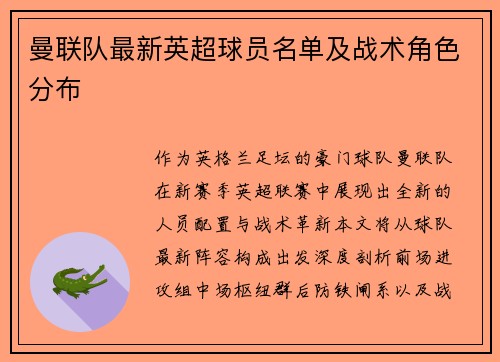 曼联队最新英超球员名单及战术角色分布